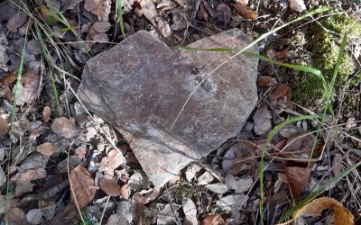 Les secrets de la cohérence cardiaque